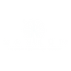 Saerún Skin – Inicio